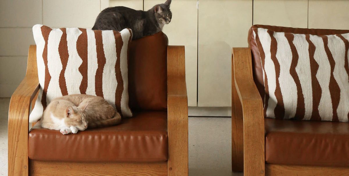 Two brown leather armchairs with striped brown and white pillows, featuring a sleeping orange cat on the left chair and a gray cat perched on the backrest.